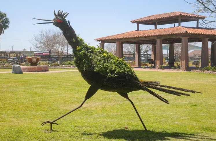 South Texas Botanical Gardens & Nature Center, United States